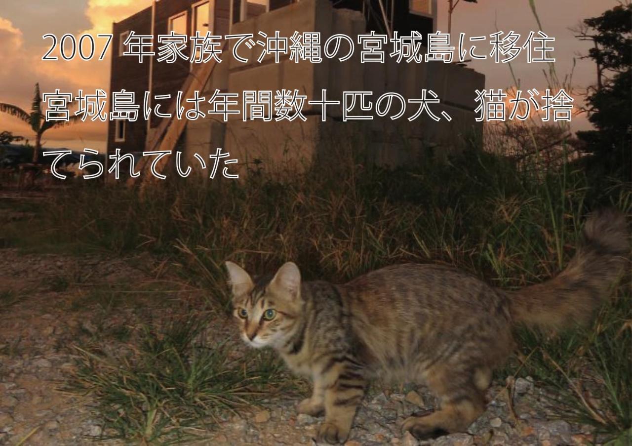 Вилла Okinawa Freedom Накидзин Экстерьер фото