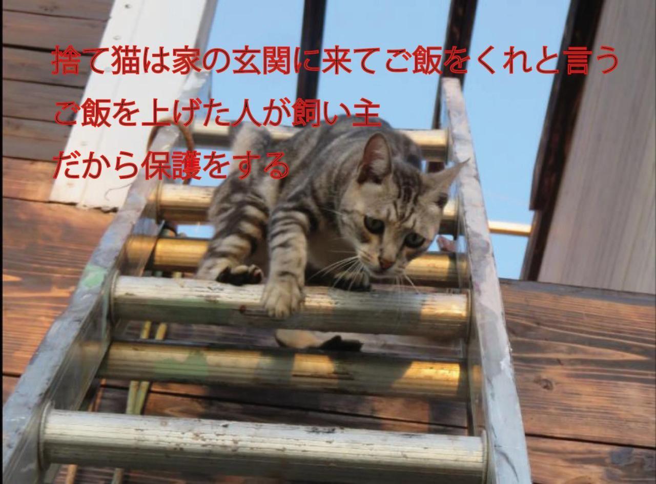 Вилла Okinawa Freedom Накидзин Экстерьер фото